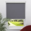 BAUHAUS Rollo Mit Kassette B X H: 60 X 175 Cm, Grau, Uni 19