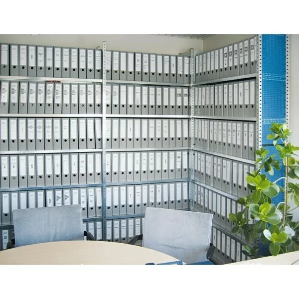 BAUHAUS Scholz Aktenregal Grundelement Länge: 1.250 Mm, Breite: 300 Mm, Höhe: 2.280 Mm, Traglast: 60 Kg/Boden, Anzahl Böden: 7 Stk. 6